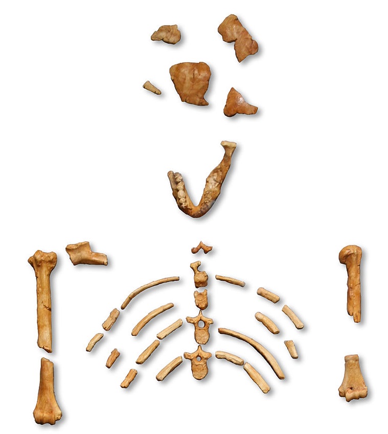 mindtouch.page#thumbnail