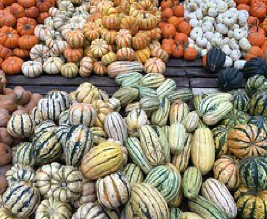 mindtouch.page#thumbnail