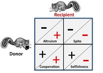 mindtouch.page#thumbnail