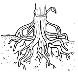 mindtouch.page#thumbnail